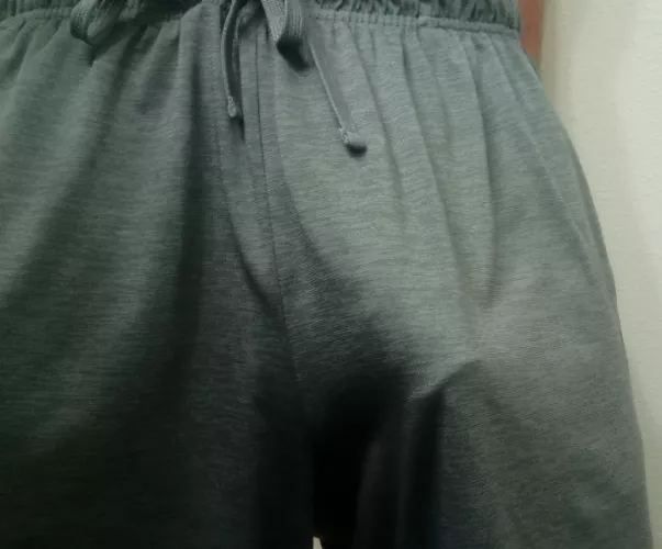 Wifes favorite shorts