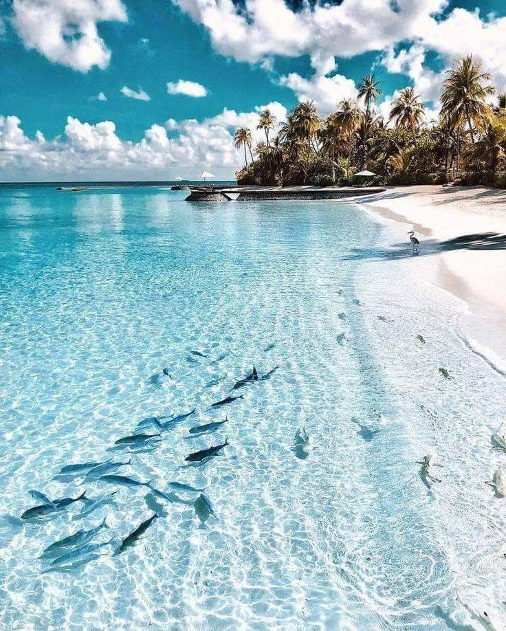 Beach in Maldives.