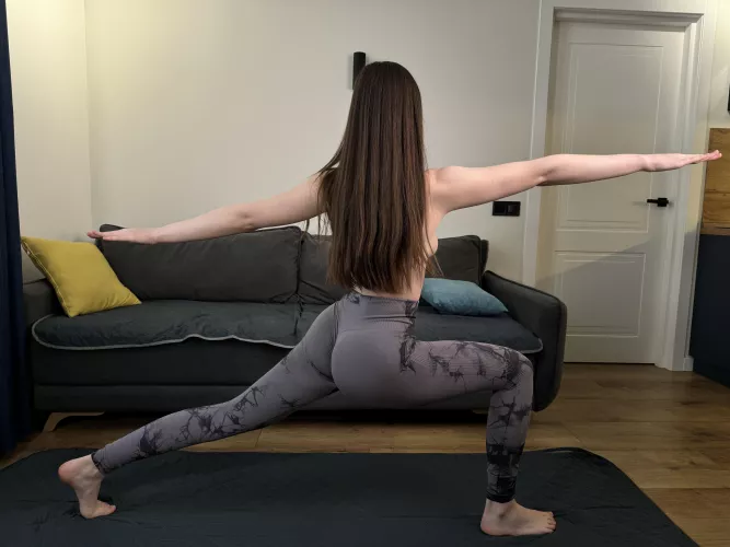 Flying naked airplane rear view