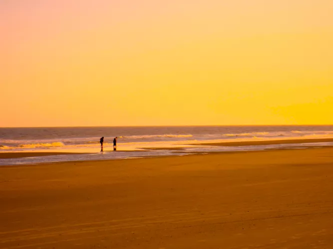 Golden Eve at Isle of Palms