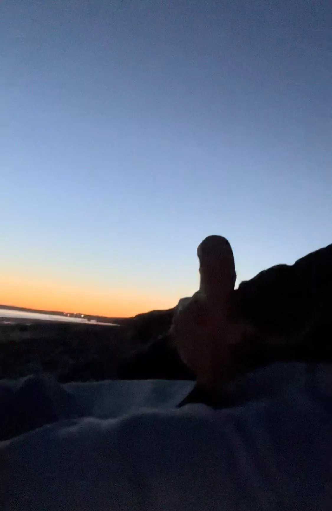 Little time at the beach