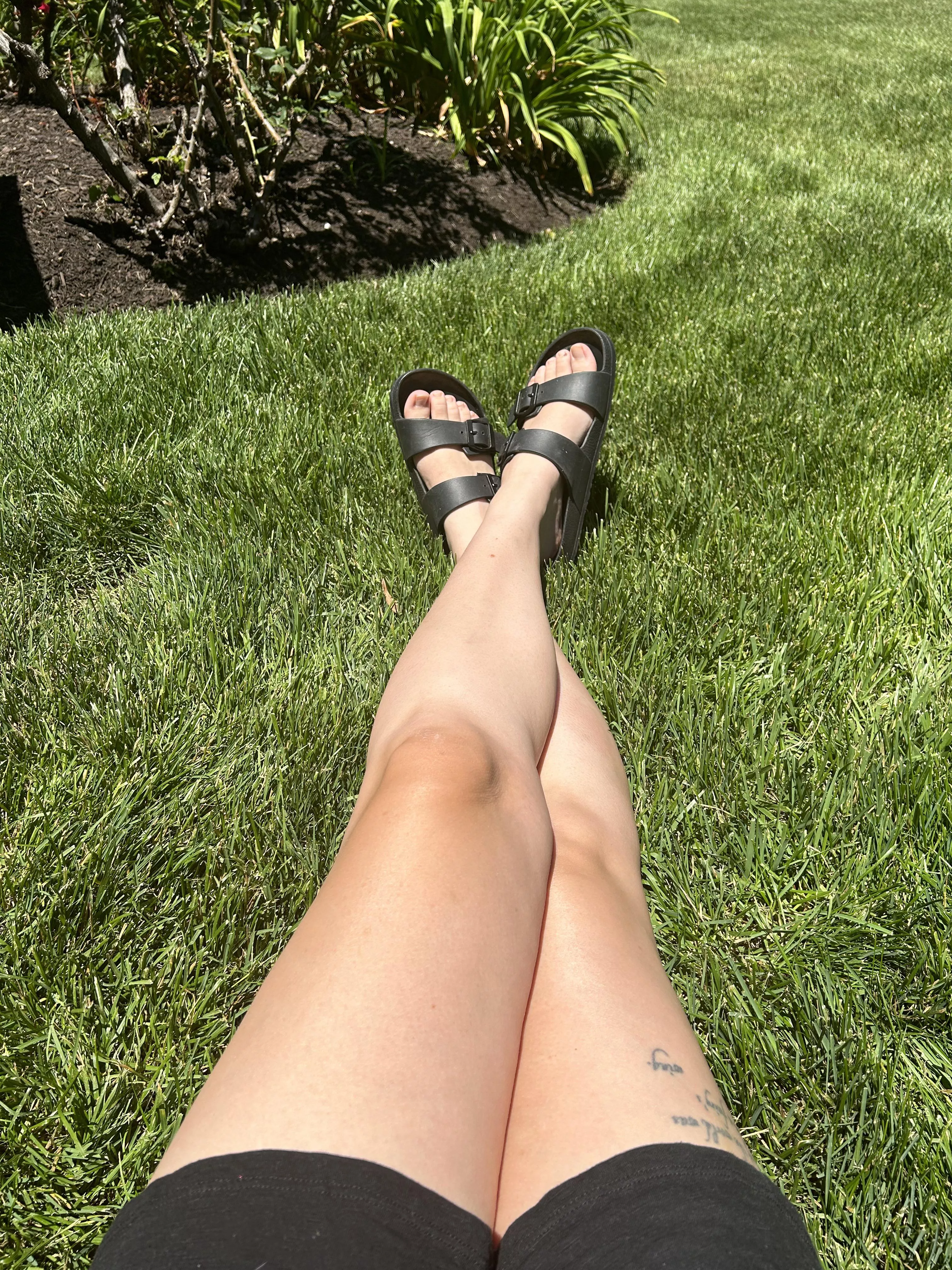 Long legs getting some sun