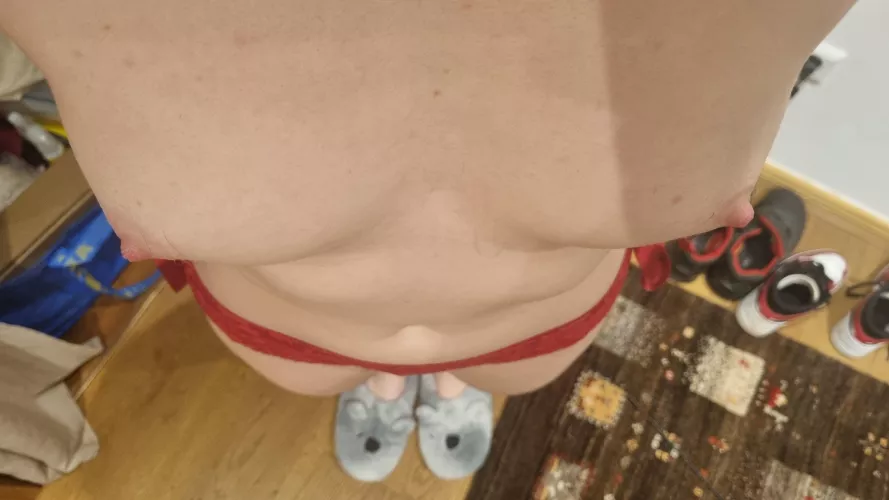 my erasers, red panties, and slippers. 