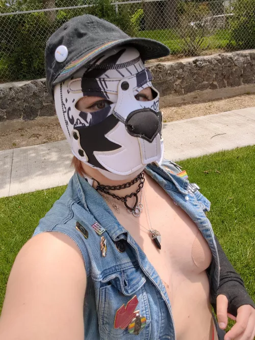 pride 🏳️‍🌈🏳️‍⚧️