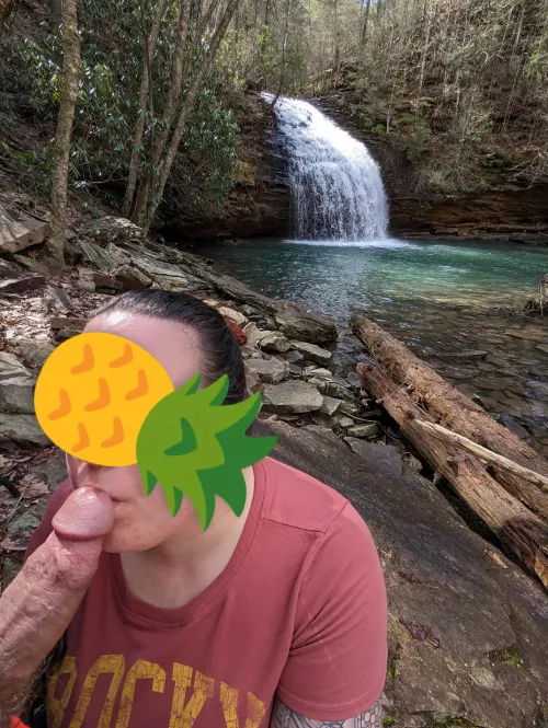 Stinging fork falls shenanigans 
