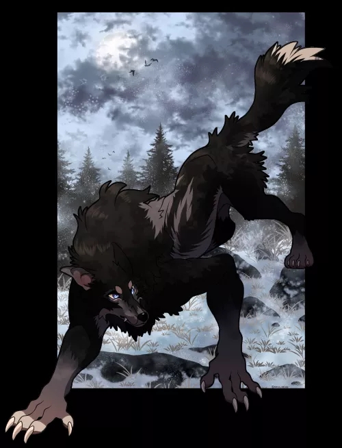 The wolf is stalking 🤫 