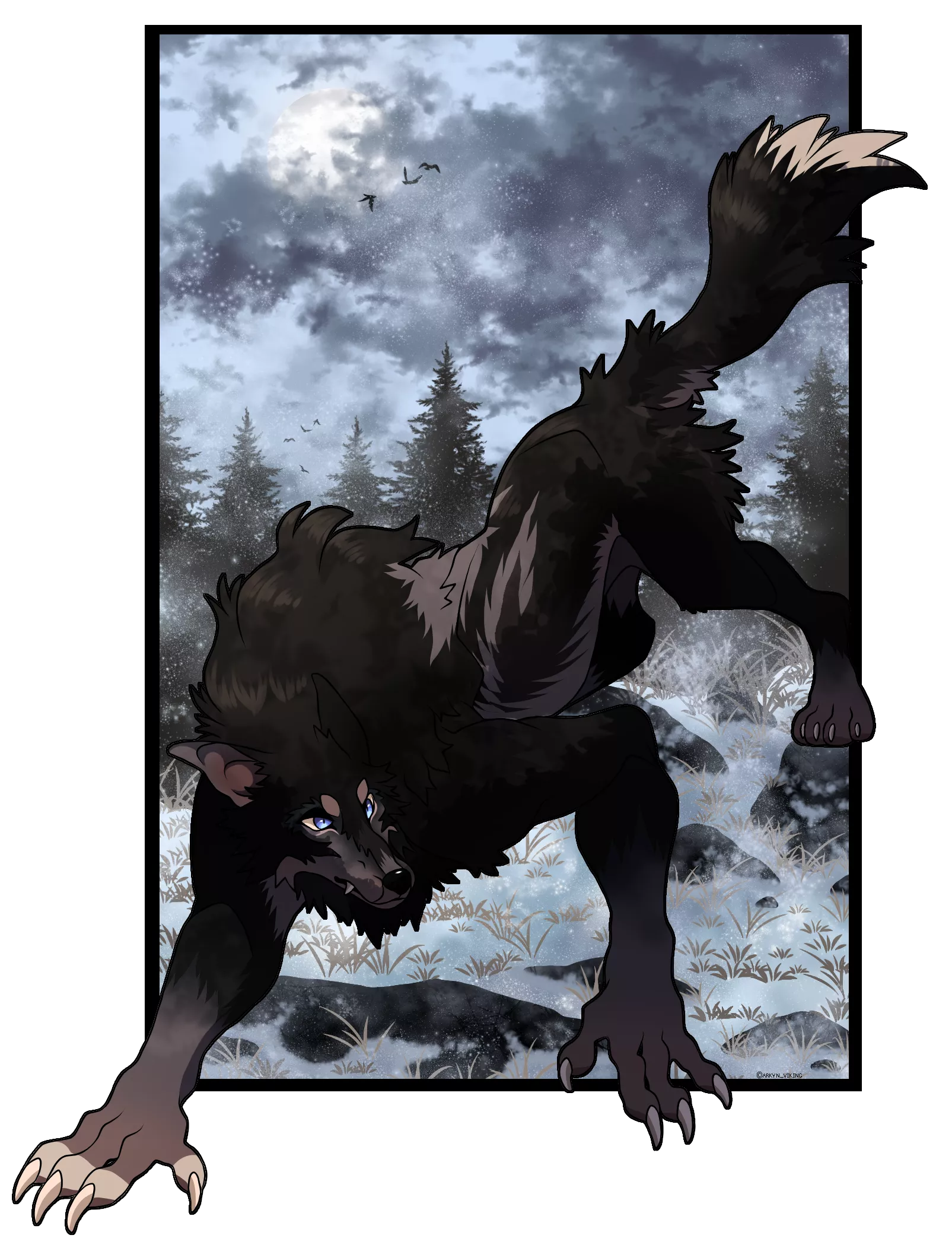 The wolf is stalking 🤫 