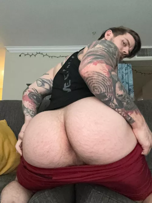 What do you think of my ass? 