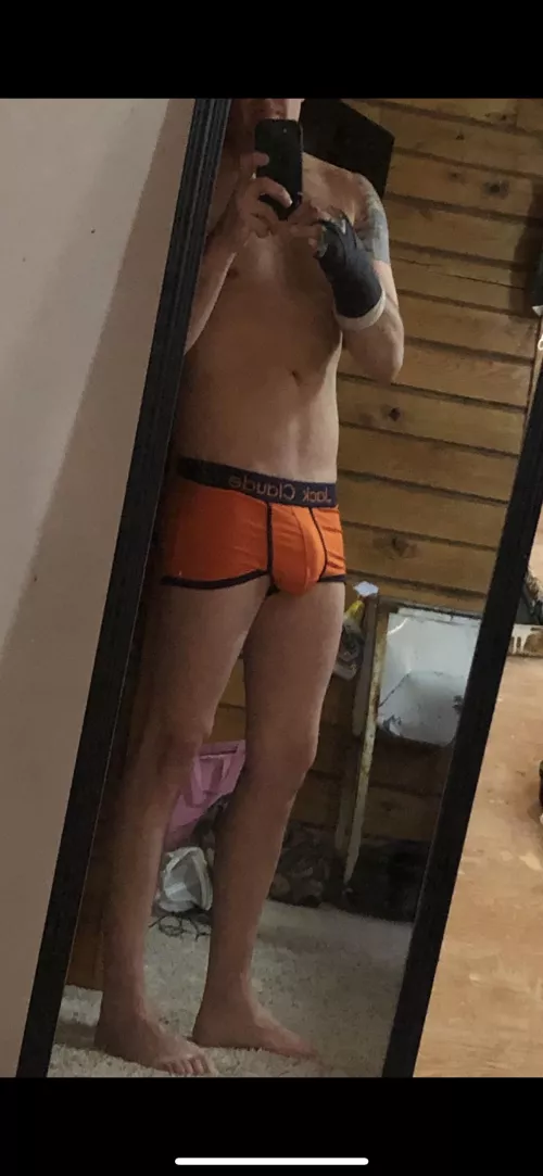 What do you think of these