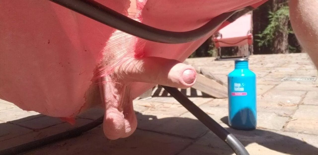 It's a lovely day to sunbathe together, don't you think?