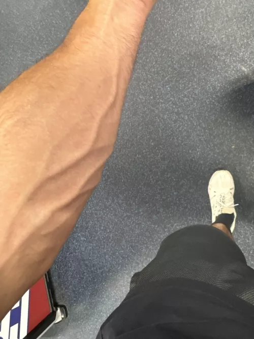 My veins are hiding today