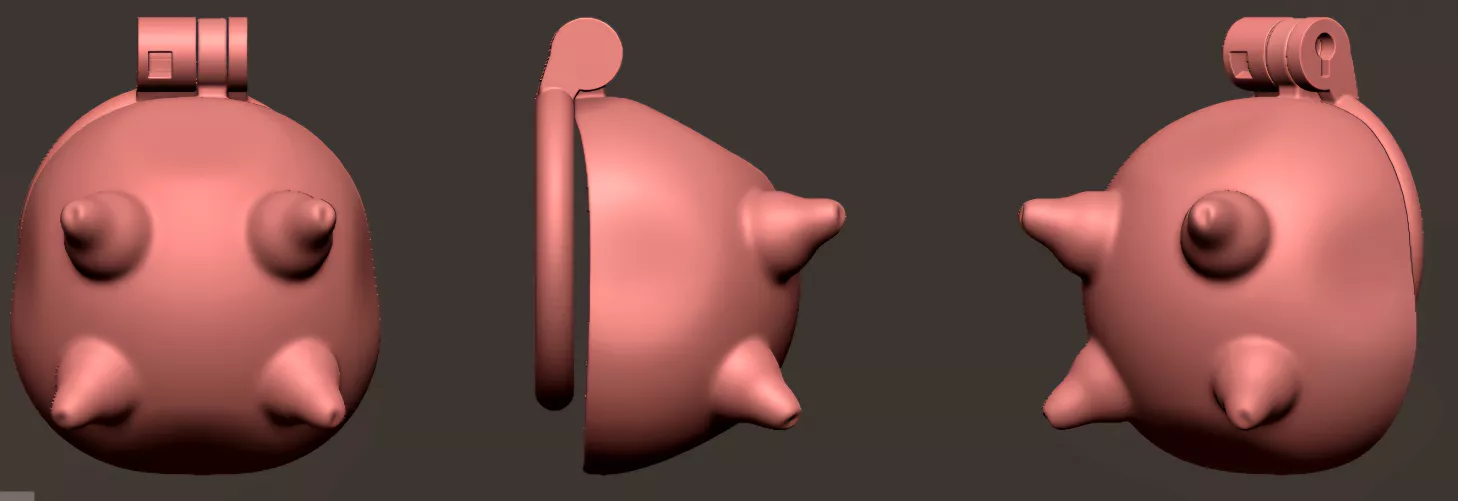 Udder Chastity Cage design