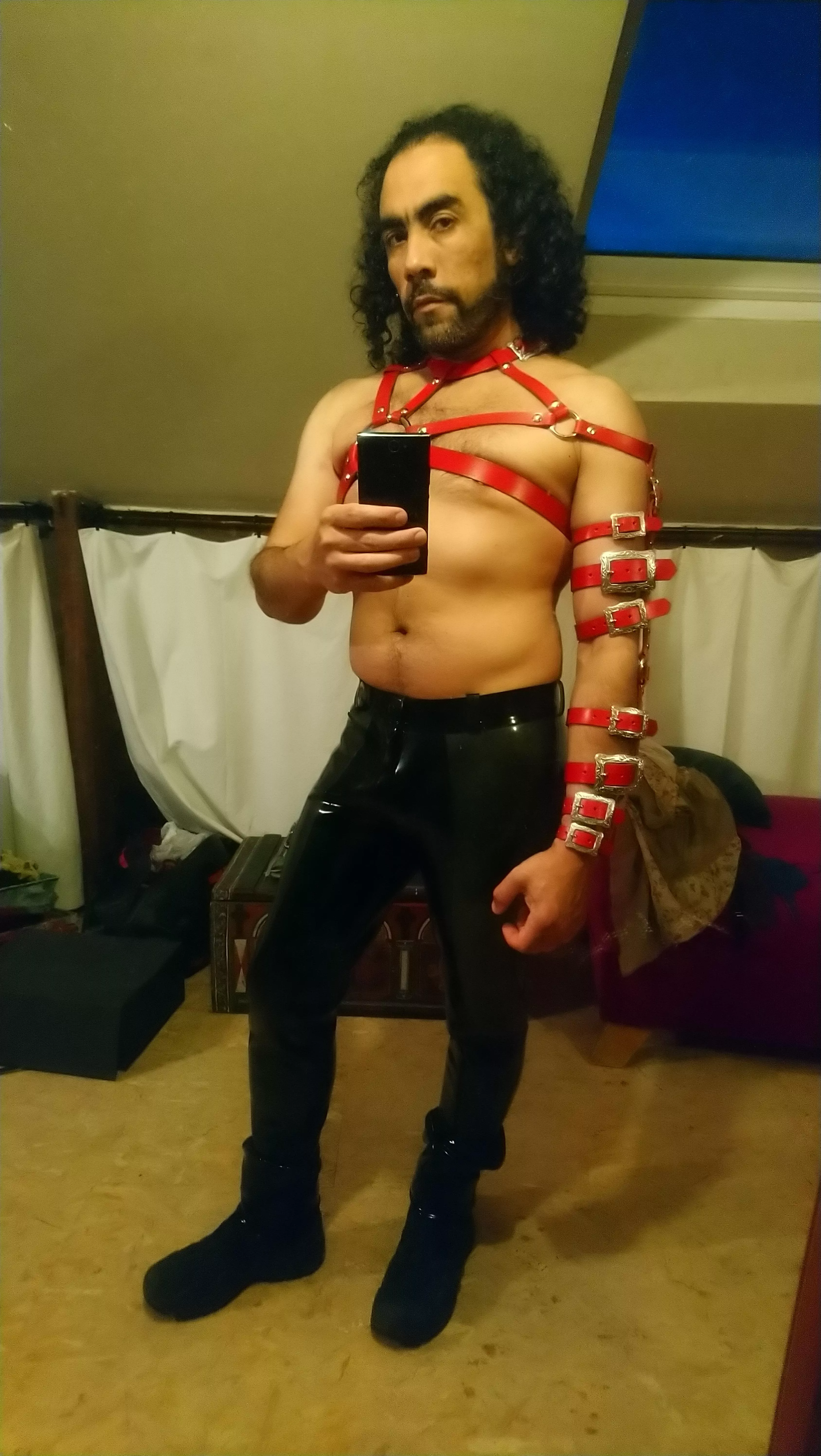 My leather harness 