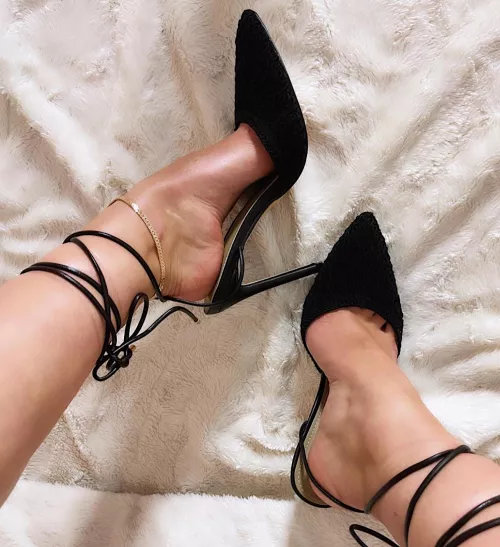 Newest to my collection 