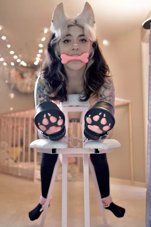 Someone’s been a bad puppy [f]