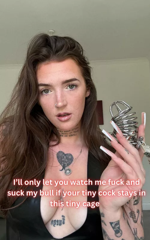 These are my new rules, cucky!