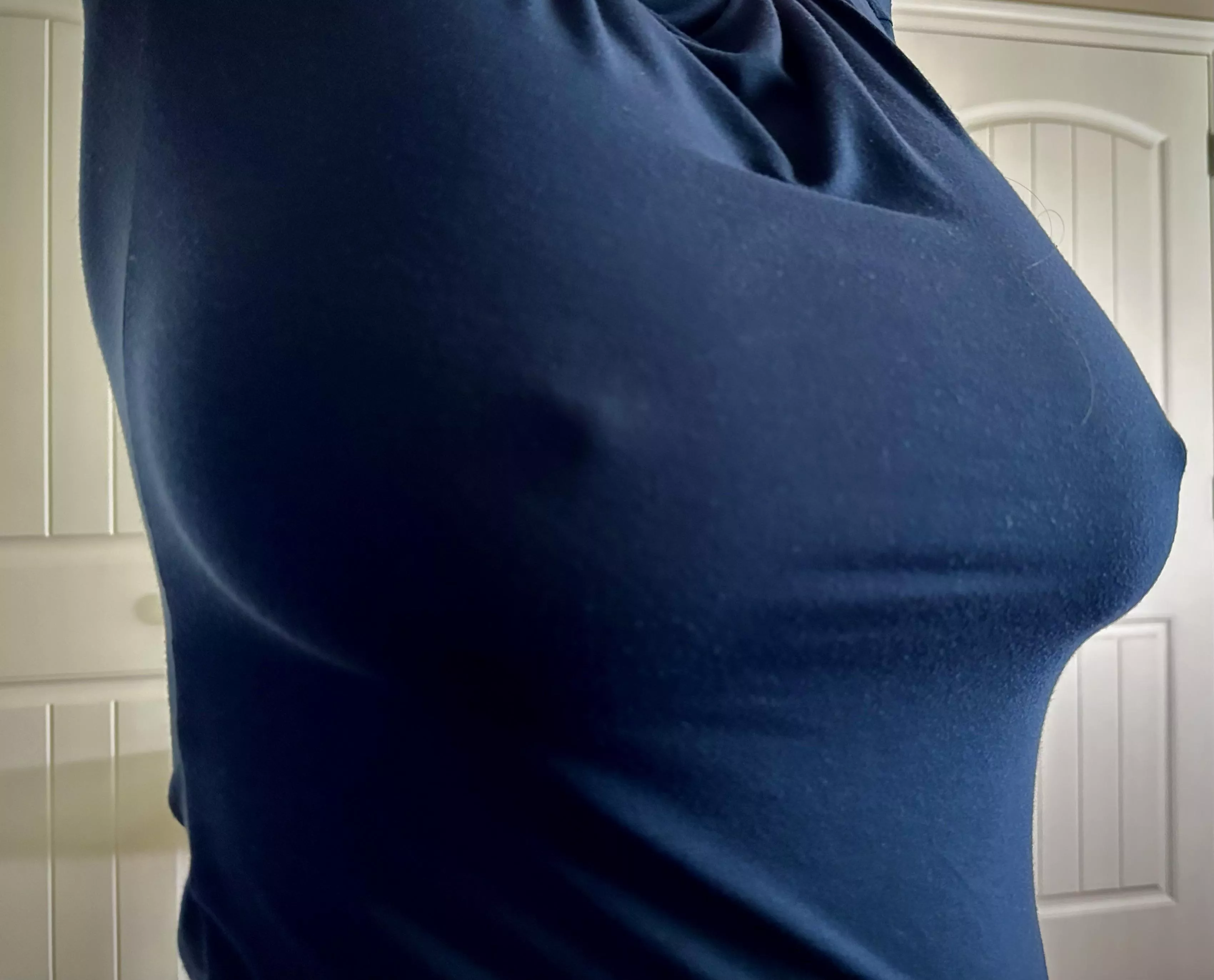 Hoping these fit the bill