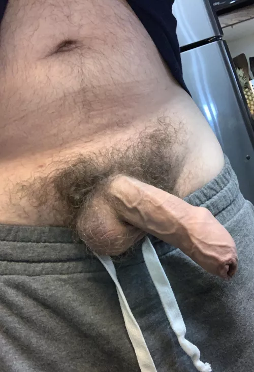 Need a submissive bear to take care of my hairy uncut dick