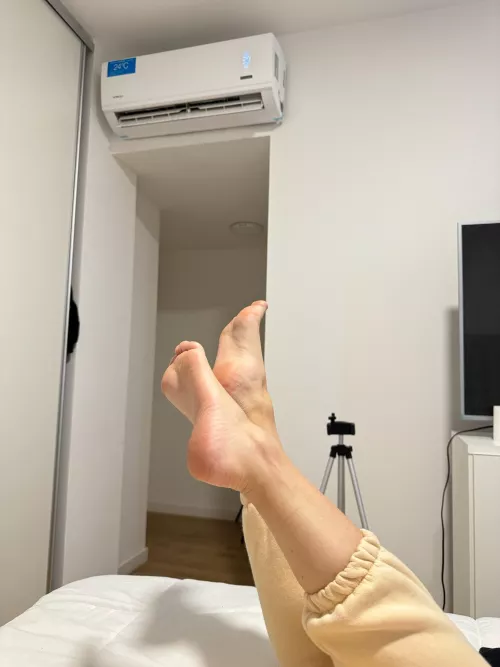 What could you call them?
