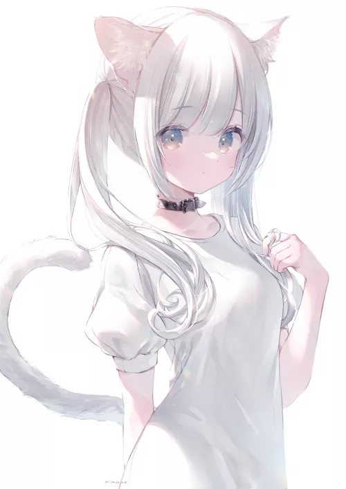 White haired cat [Miyashiro]