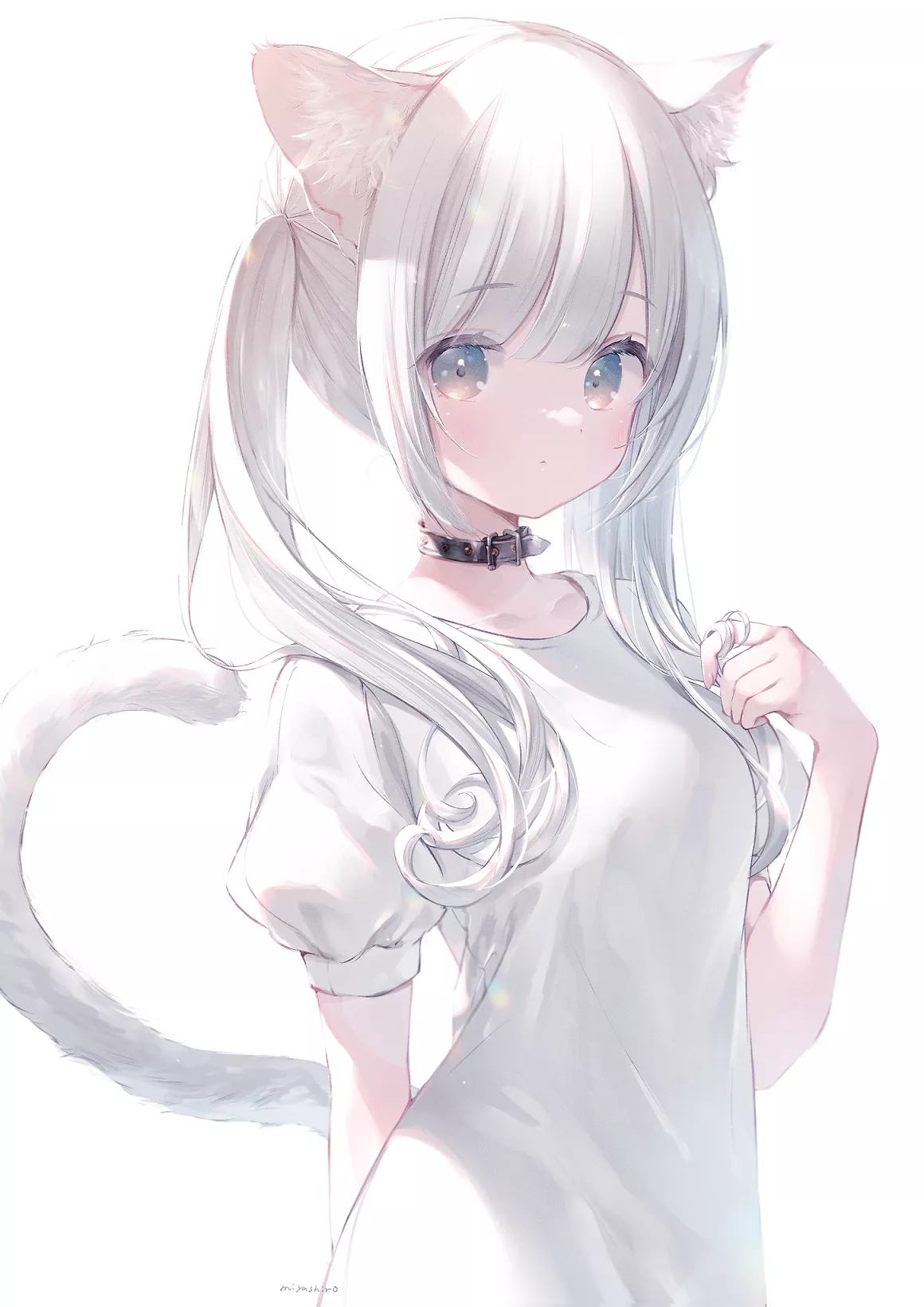 White haired cat [Miyashiro]