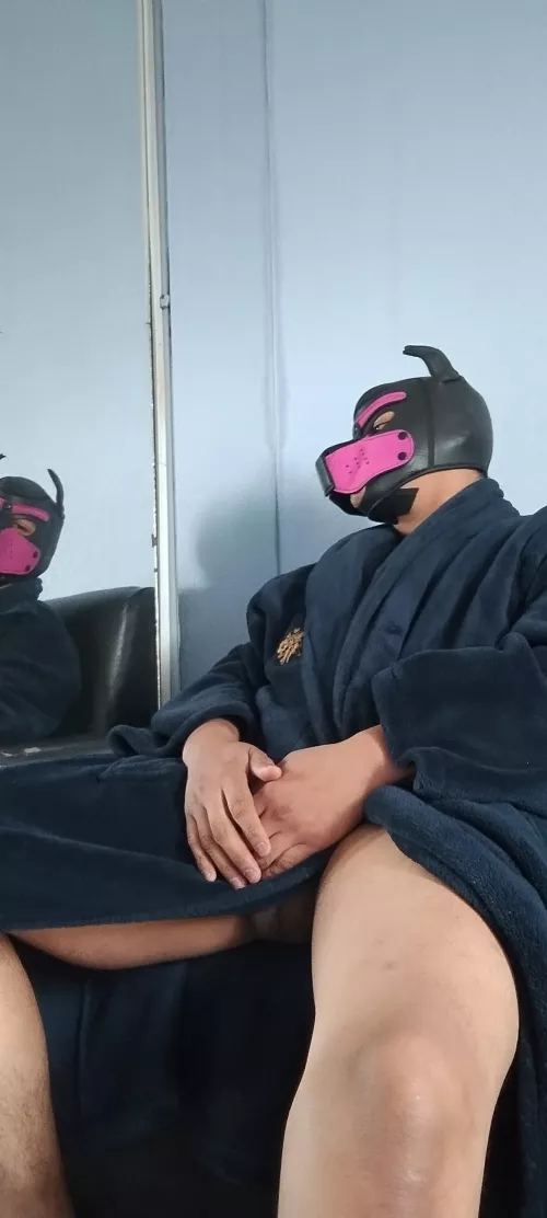 borkbork! 🐶🐾🐶Loving this warm day, I can finally air dry!awrooooooo!🐶🐶🐶🐶🐶