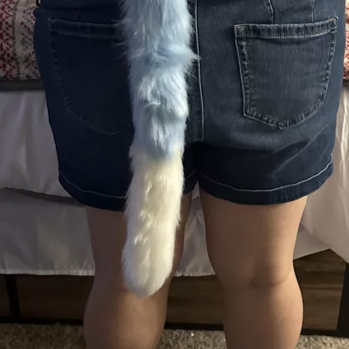 New tail