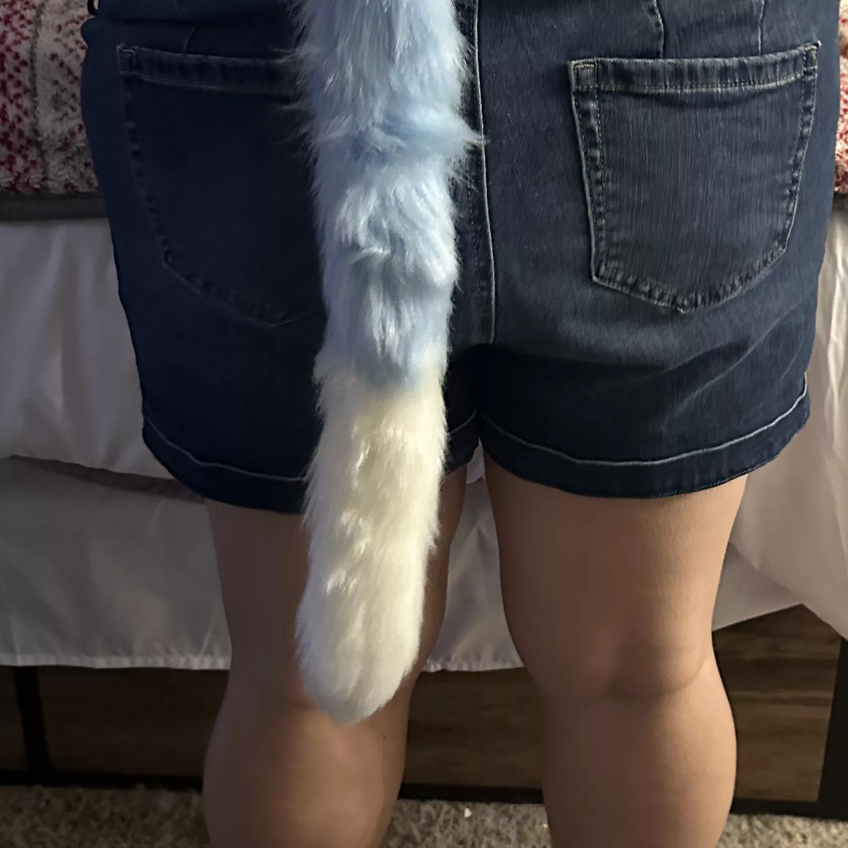 New tail