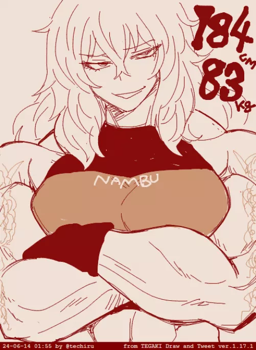 Riko Sena [@techiru]