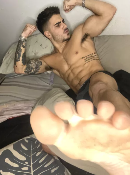 Want to see what a real alpha male looks like?