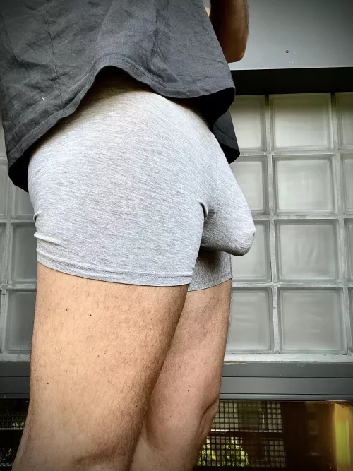 (31) Would you just look or go touch it?