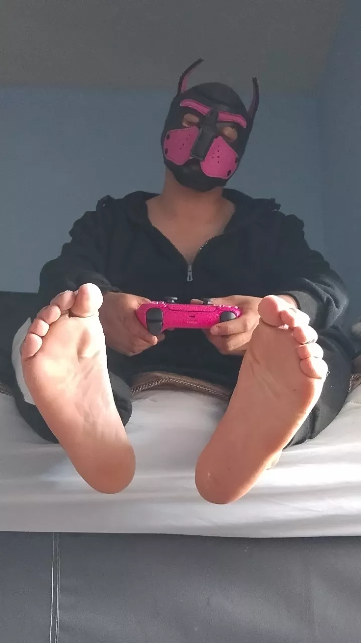 Awoooooo!🐶🐾🐶 Letting my paws breath after a long night of work! 🐶🐾🐶