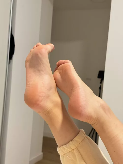 Could you kiss them?
