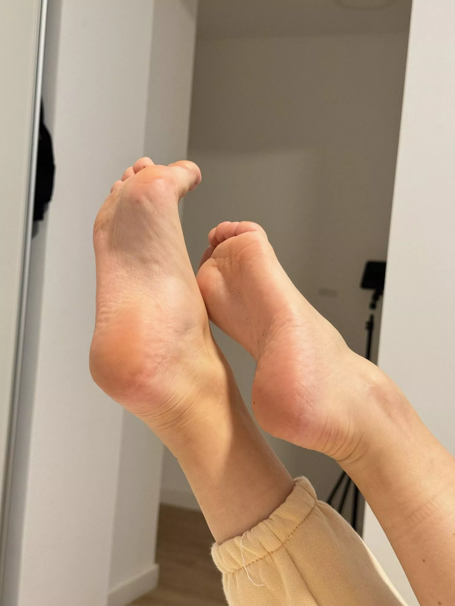 Could you kiss them?
