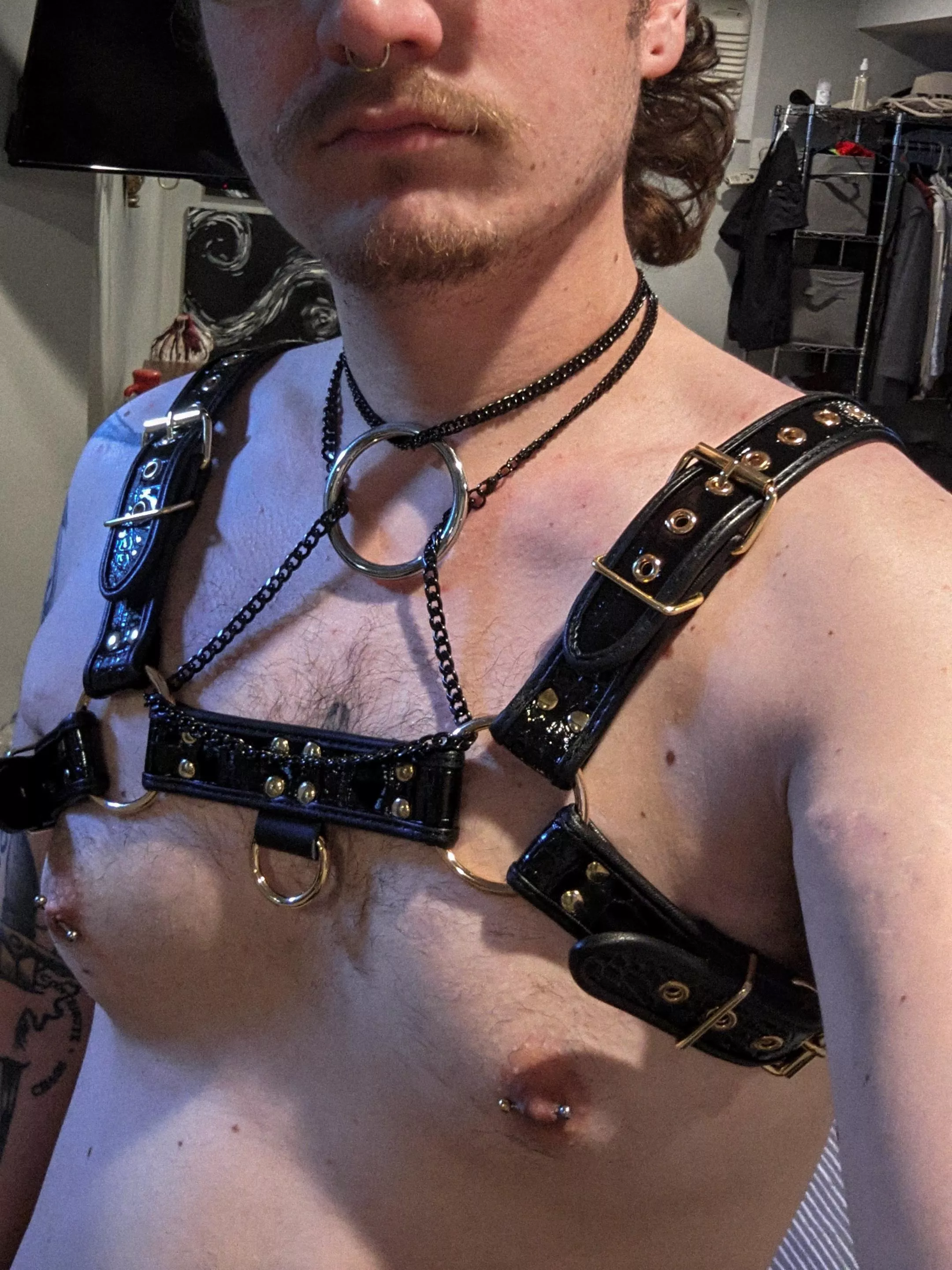 First harness (26)