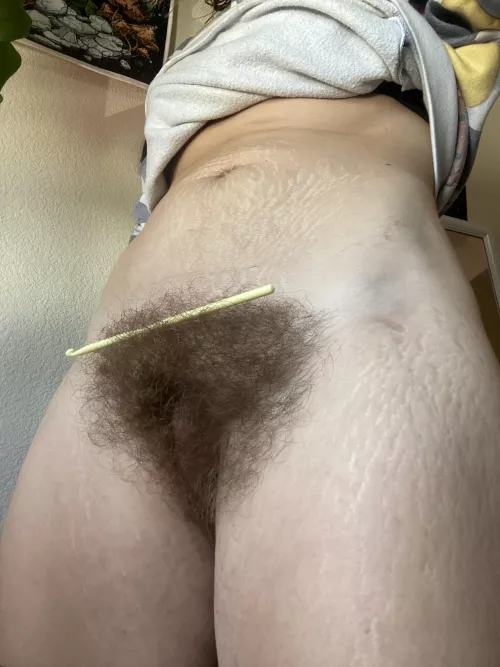 My bush is so huge I can balance things on it now 🫣