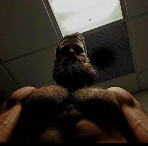 My eyes are up here. 