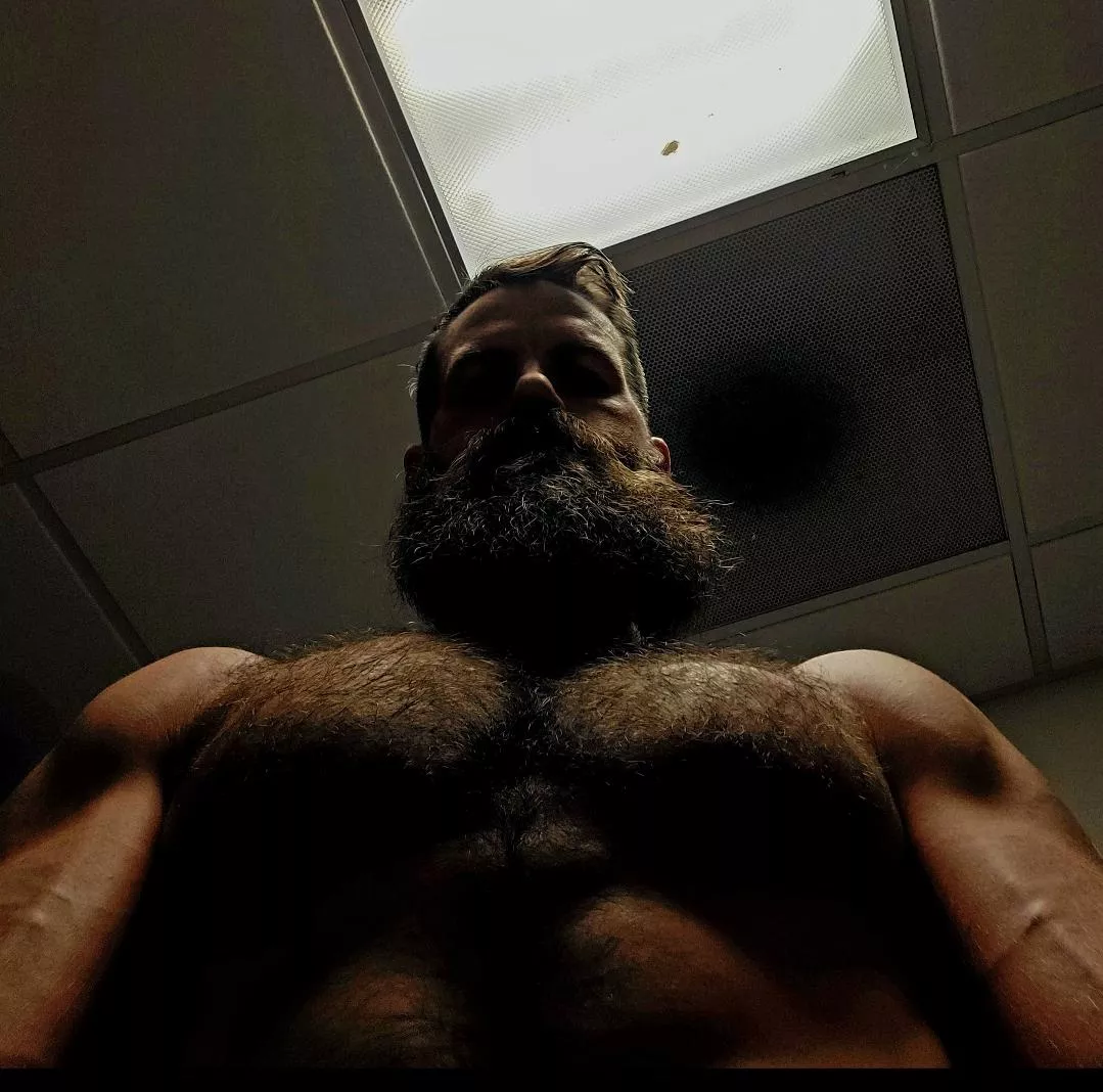 My eyes are up here. 