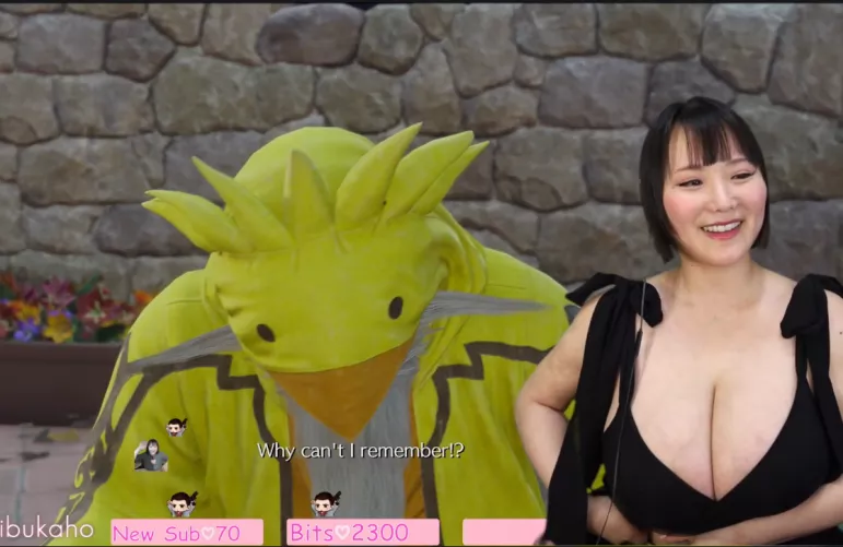 The best tits on Twitch?