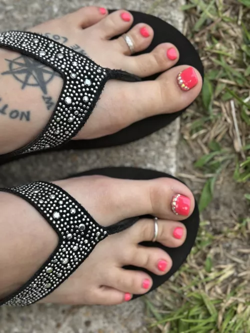 The pink is like everything