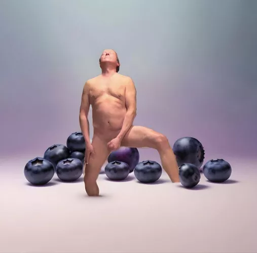 Blueberry Fields, ♪ Forever  ★♪♫•*¨