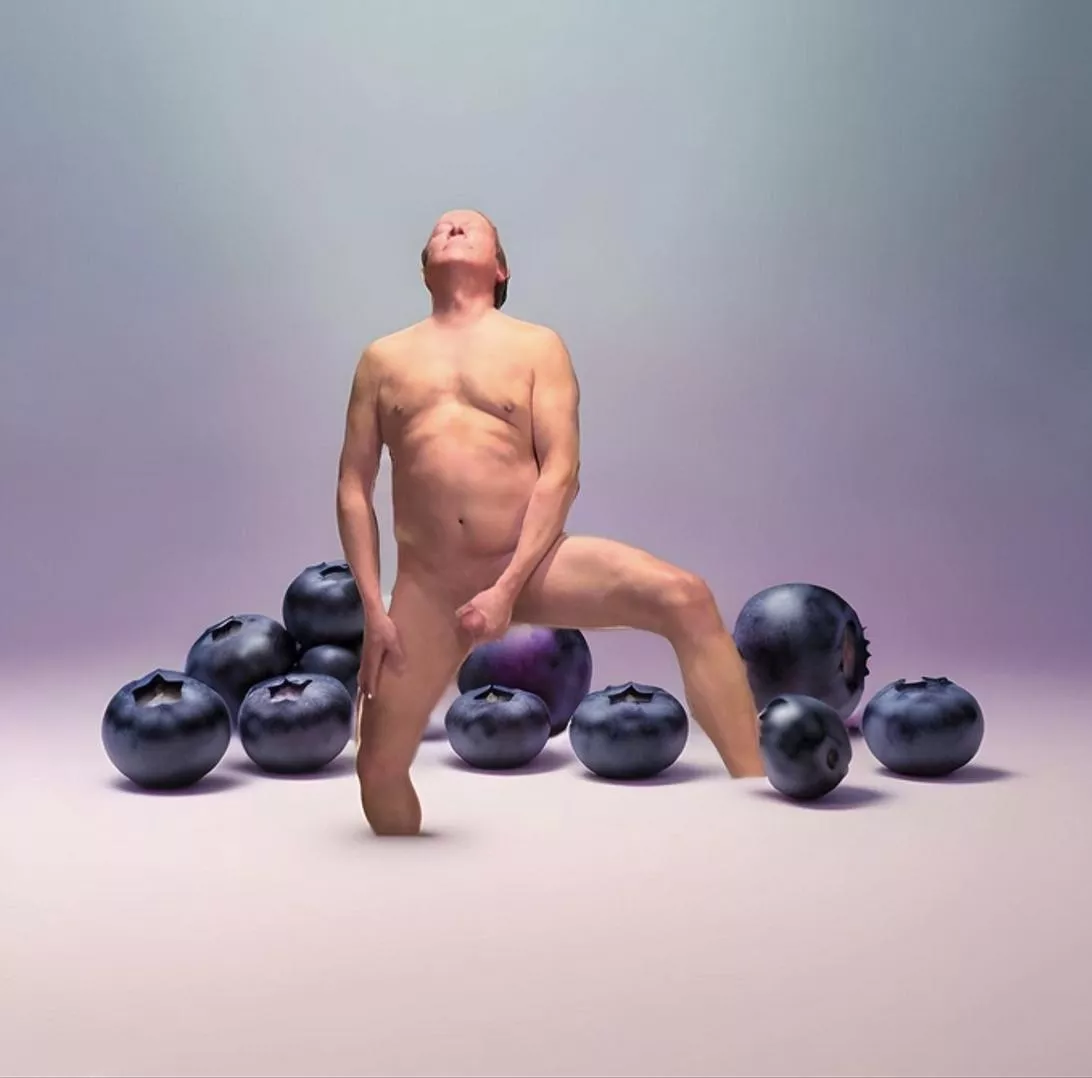 Blueberry Fields, ♪ Forever  ★♪♫•*¨