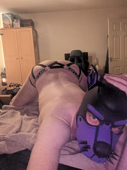 Have I got the arch right?