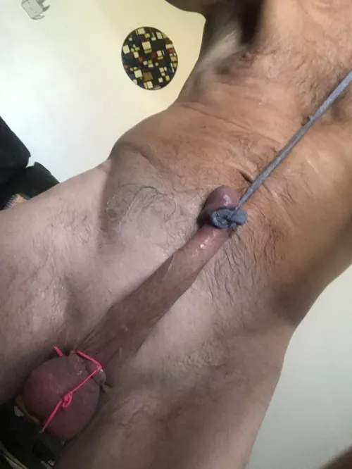 Ladyboys cocks and suspenders