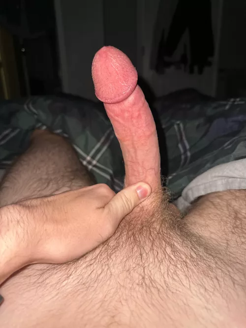 Rate my morning wood