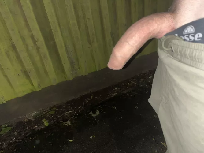 Semi in the dark 🤤