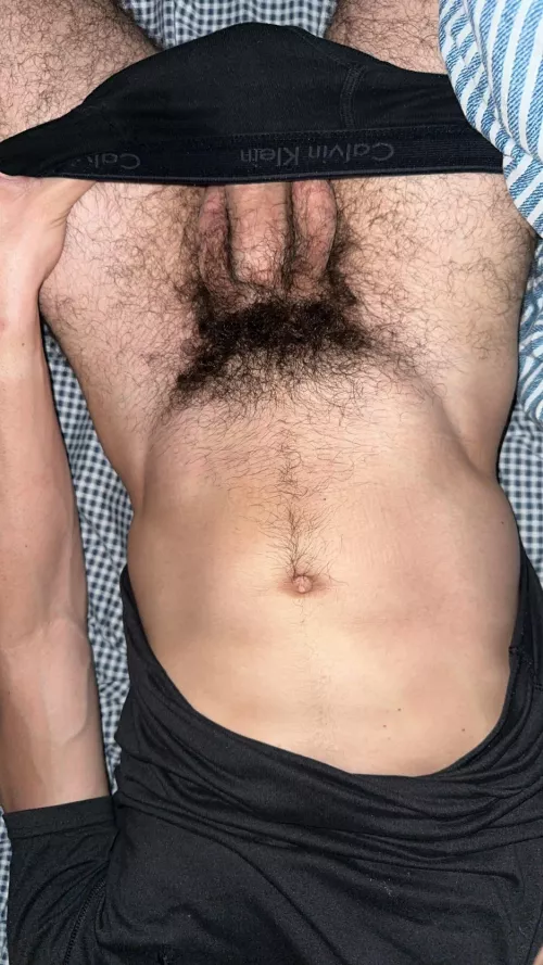 19 USA for older dad or big bro dm me. Anyone like hairy jocks?