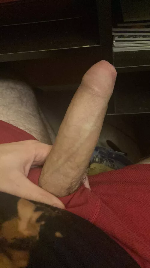 Good morning boys 😘