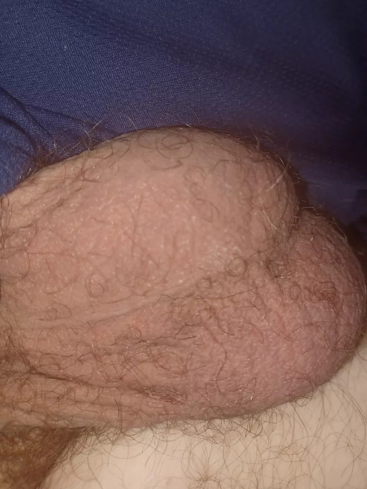 I'm happy this sub is back