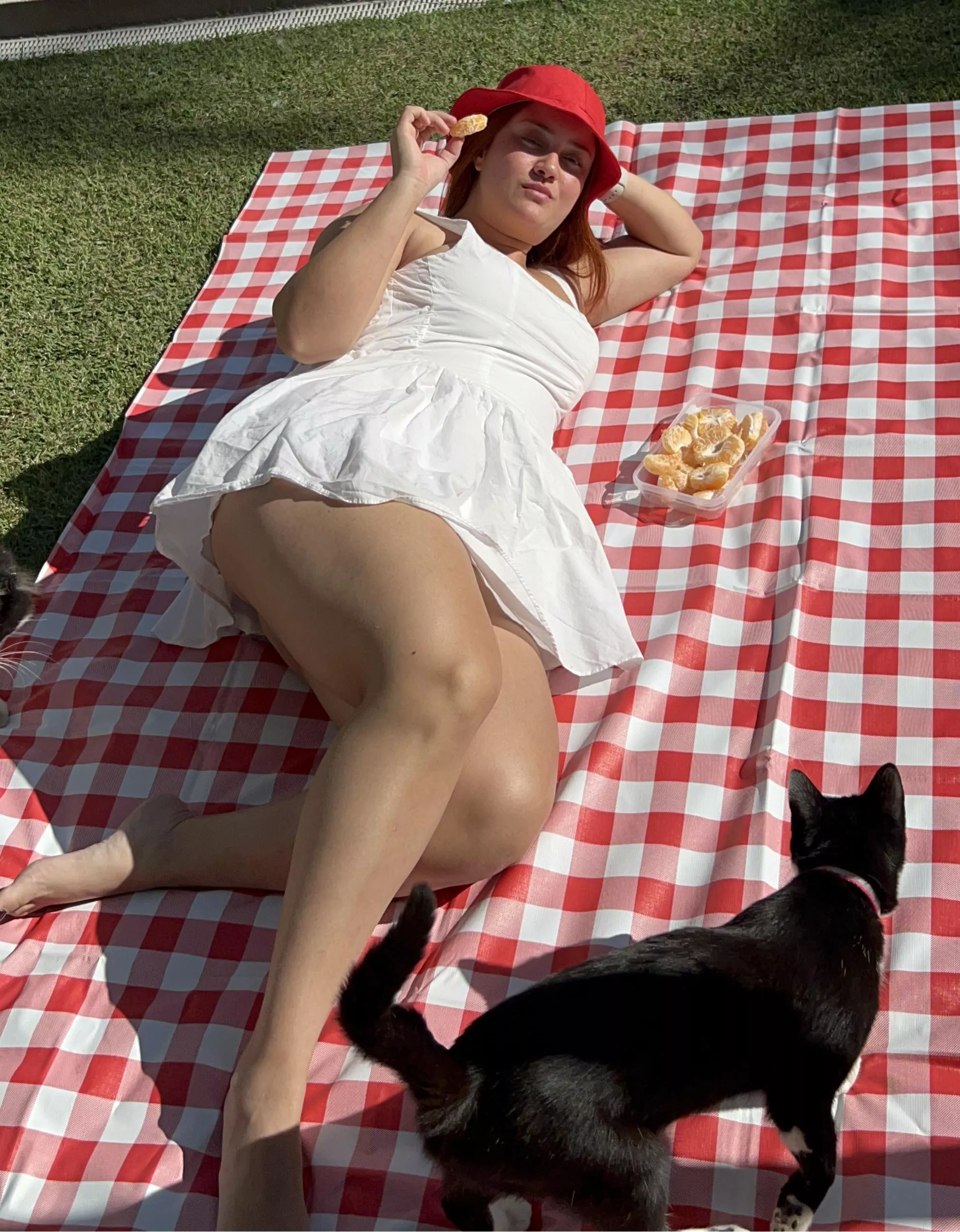 @mjohreisen picnic at my garden